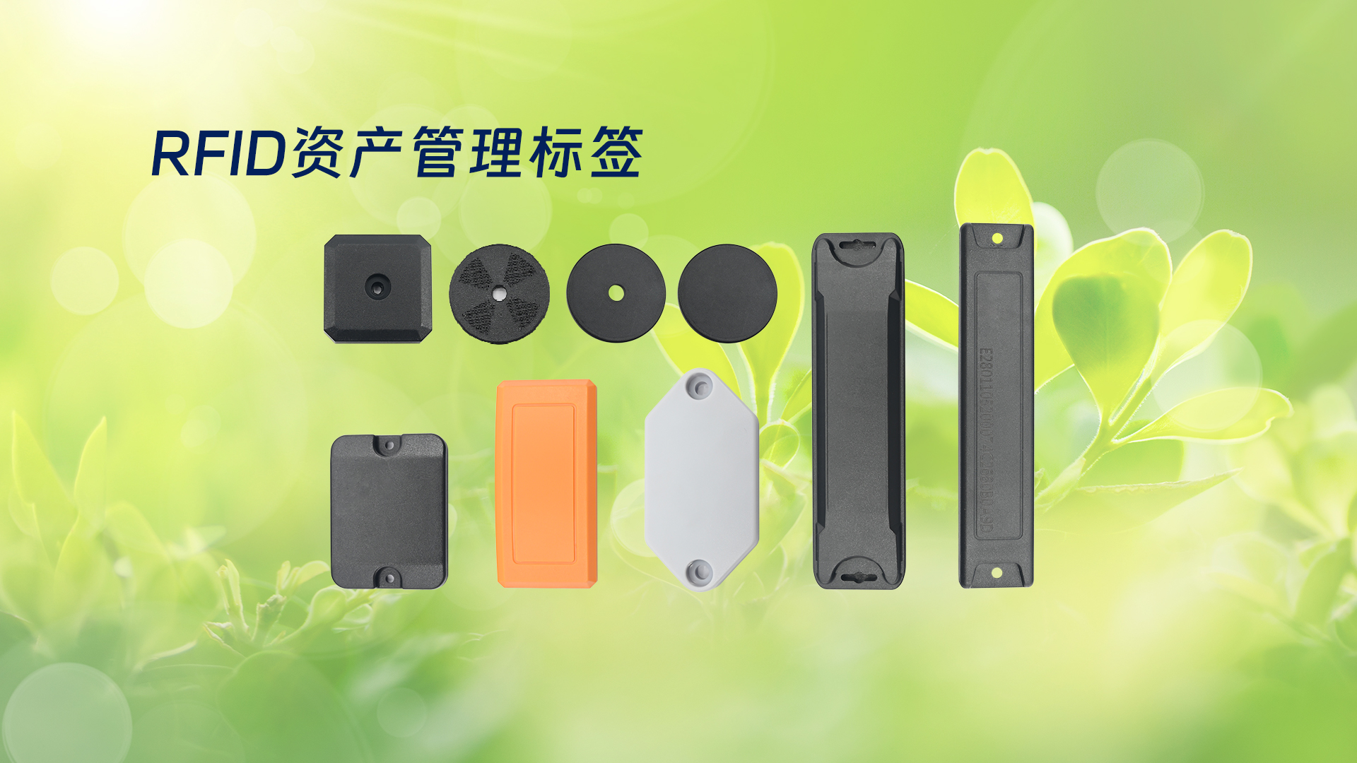 微信圖片_20250319134926