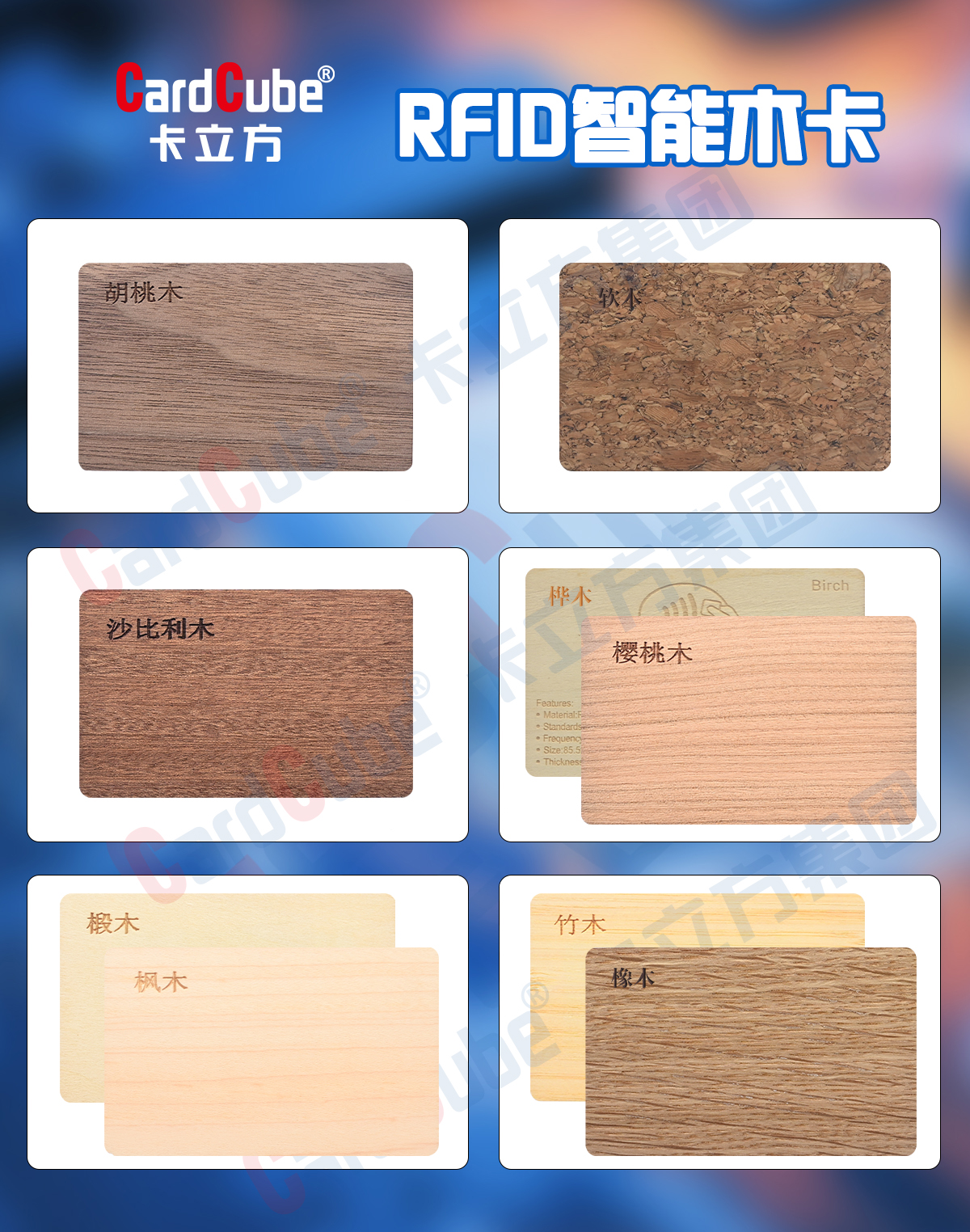 微信圖片_20250307175708