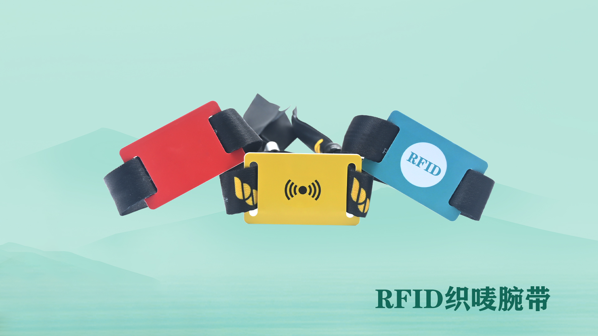 微信圖片_20250704114510