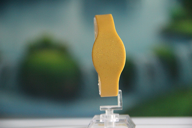 IC腕帶芯片廠家：IC腕帶芯片的應(yīng)用