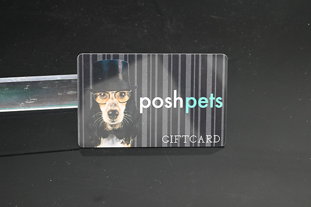 目前接觸式IC卡和感應式IC卡哪種智能卡比較受歡迎